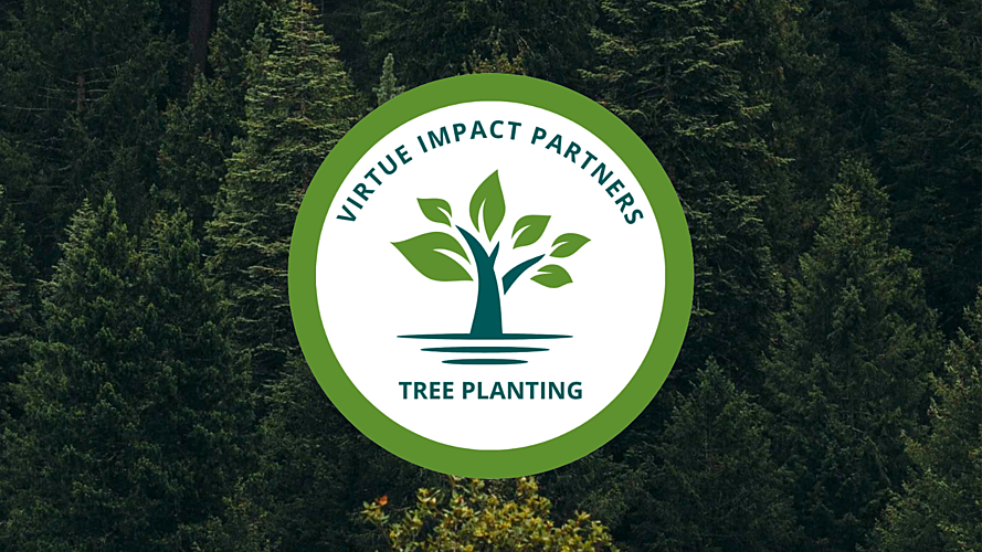 Plant two trees